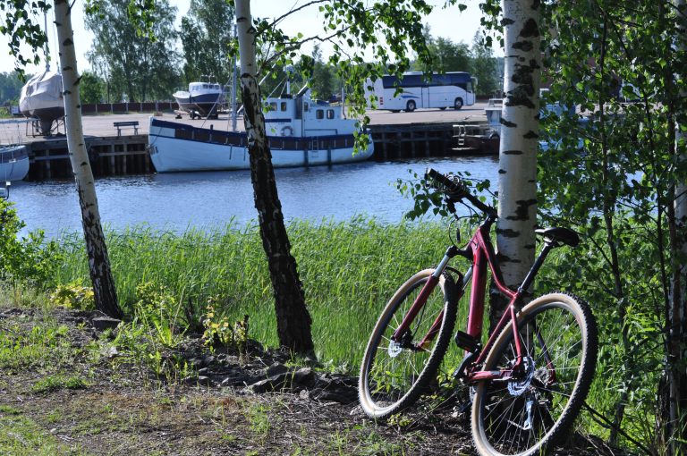 Polkupyörä nojaamassa puunrunkoon meren rannalla.